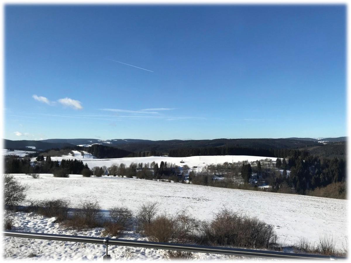 Ferienwohnung Fuchsbau Im Eg Des Ferienhauses Falkenhoehe Oberweißbach 外观 照片